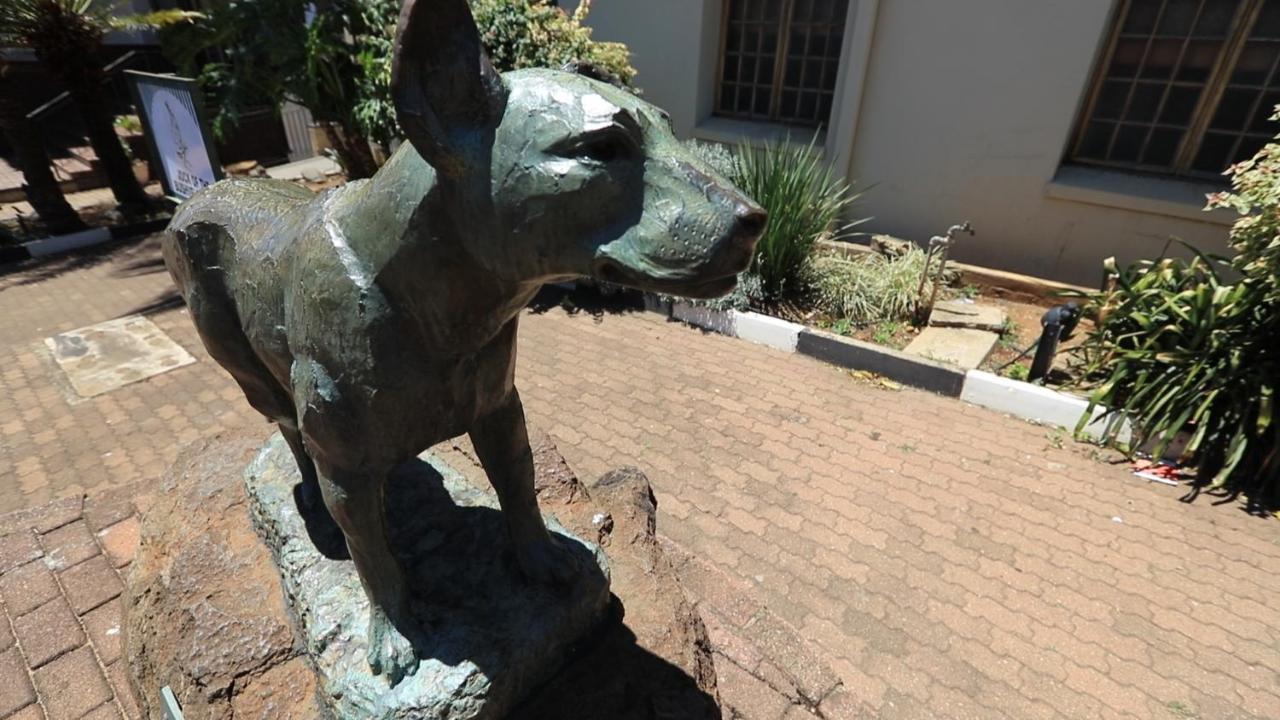 African Rest Lodge Barberton Exterior foto